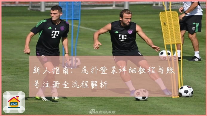 新人指南：虎扑登录详细教程与账号注册全流程解析