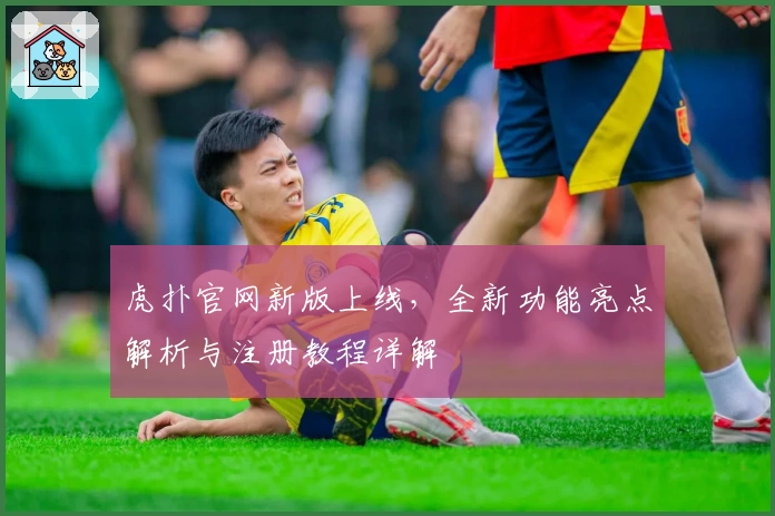 虎扑官网新版上线，全新功能亮点解析与注册教程详解